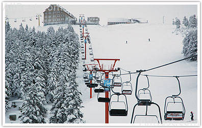 Agaoglu My Resort 5